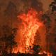 This is what a climate emergency looks like.